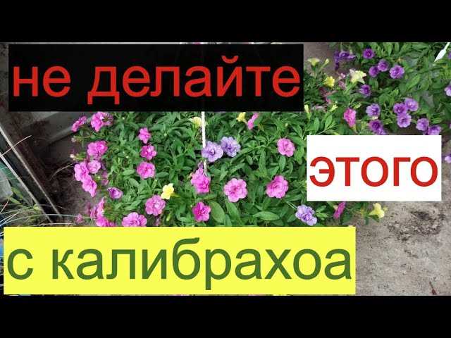 Недостаток освещения