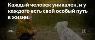 Почему каждый человек уникален: основные причины разнообразия личностей