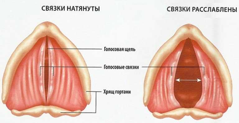 Почему когда ты дышишь гелием, твой голос звучит по-другому?