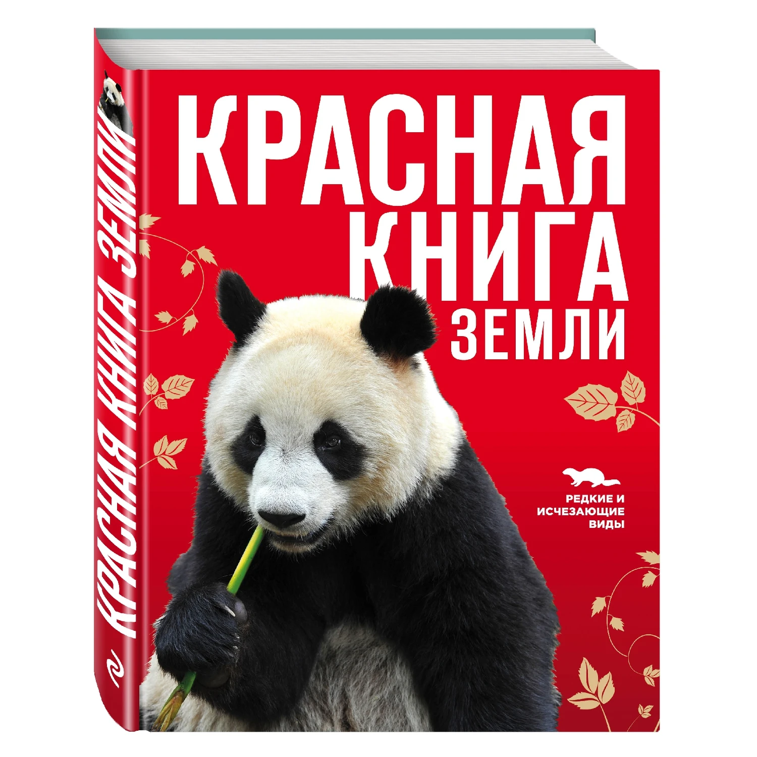 Почему красная книга в красном переплете