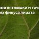 Почему на листьях фикуса лирата бамбино появляются красные точки?