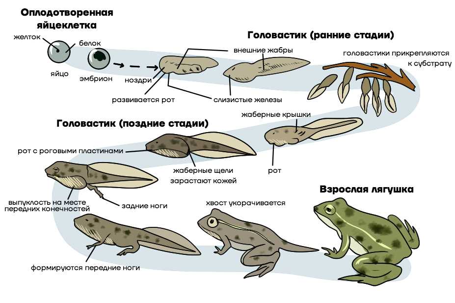 Влияние погодных условий