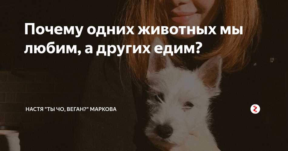 Причины, по которым мы эмоционально привязаны к определенным продуктам