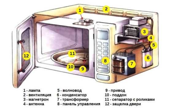 Почему микроволновка издает пищащий звук: причины и способы устранения.