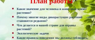 Почему редеют многие виды животных: причины и возможные меры помощи