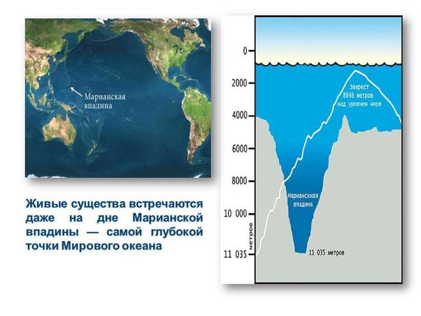 Что делает моря Тихого океана особенно глубокими?