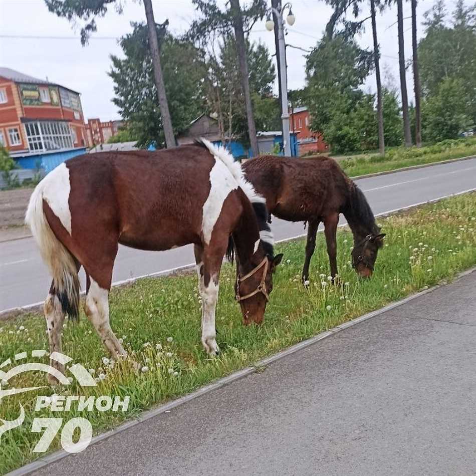 Связь символов с историей