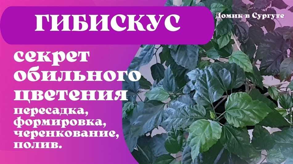 Температурные условия