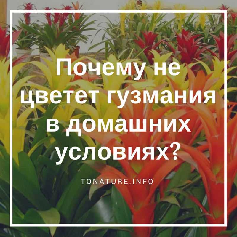 Проблемы с окружающей средой