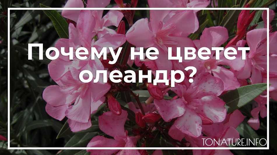 Недостаток естественного света