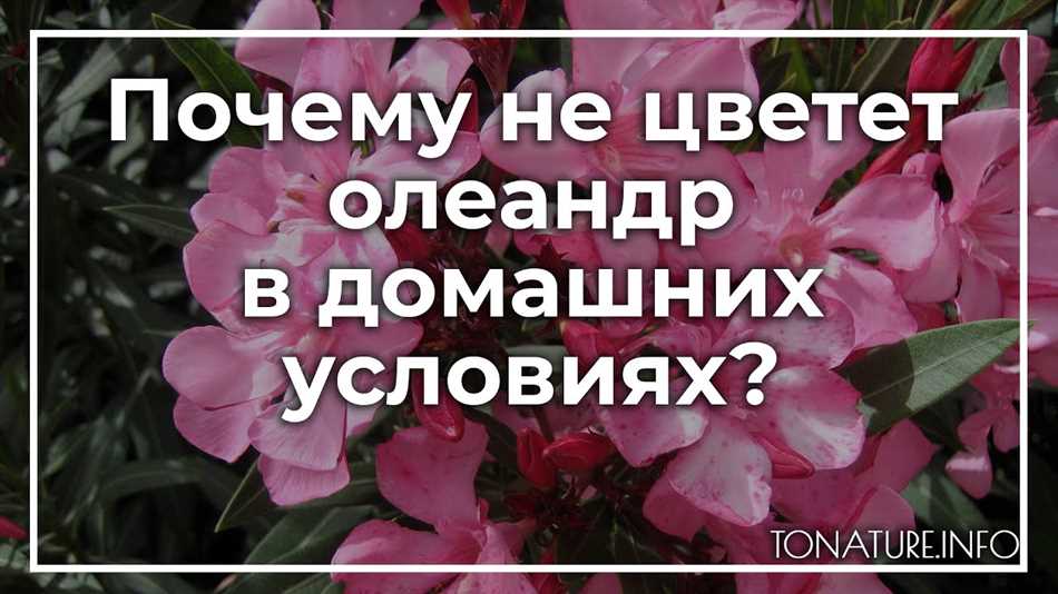 Проблемы с освещением