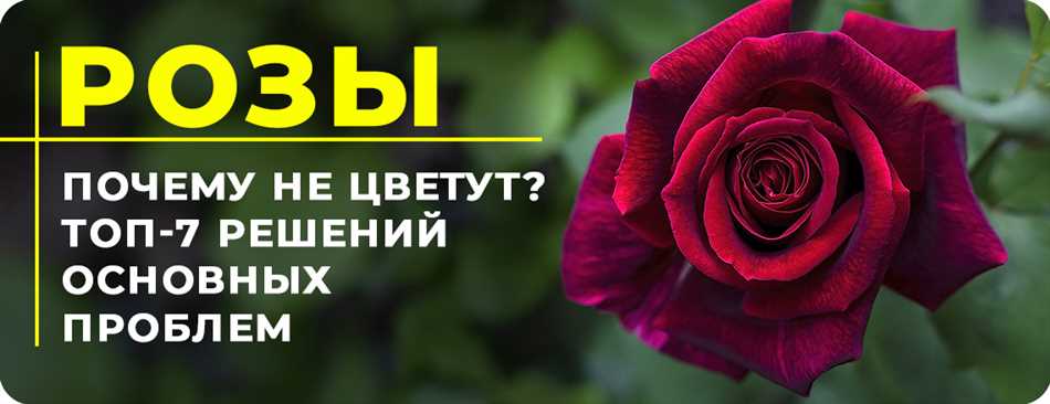 Недостаток или избыток питательных веществ