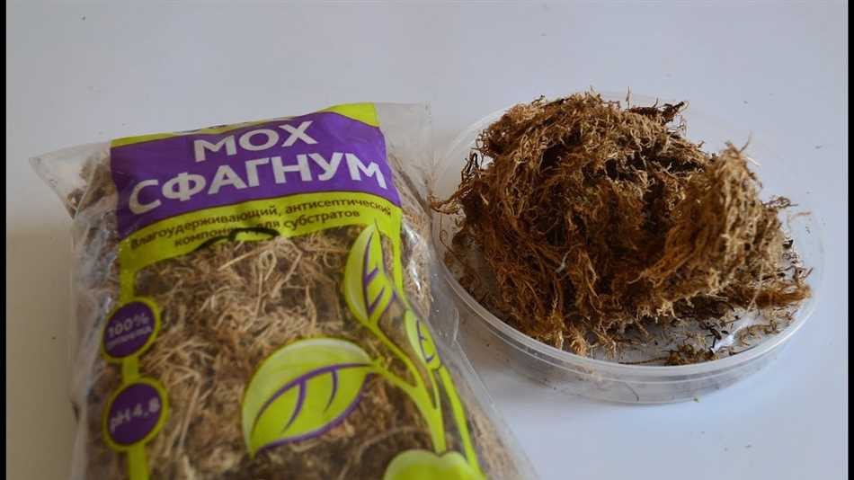 Почему нельзя мох для антуриума?