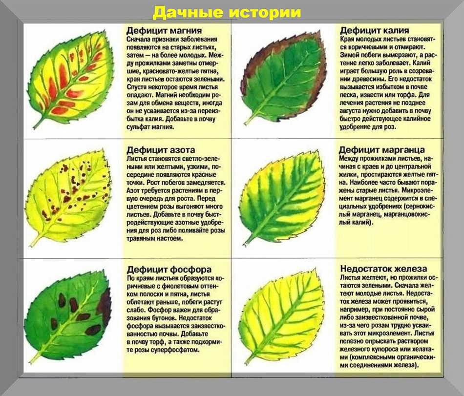 Почему необходимо постоянно вносить удобрения в почву?