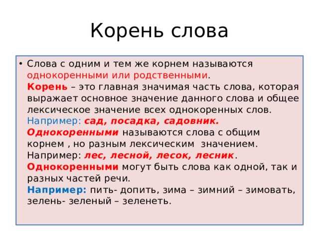 Сходство корней и суффиксов в однокоренных словах