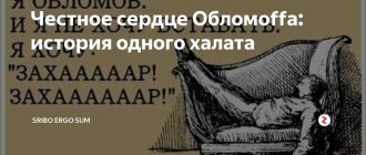 Почему Ольга не смогла изменить Обломова? Причины в кратком описании