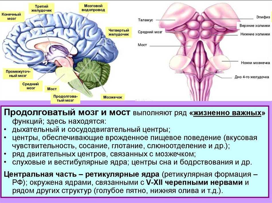 Высокий уровень энергии