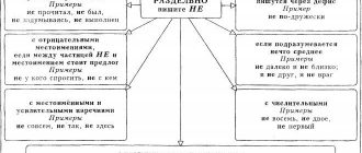 Почему слова не пишутся раздельно: причины и правила написания