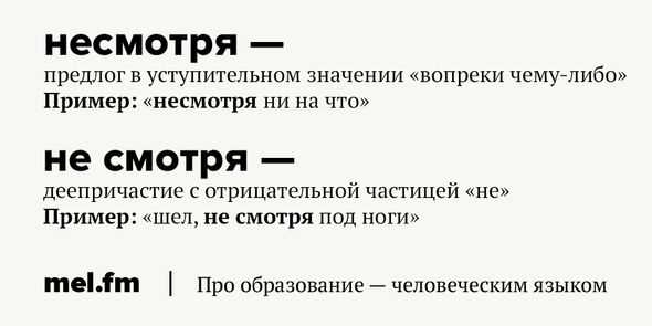 Раздел 1: Происхождение и значение слова 