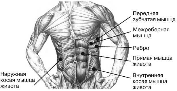 Причины спазма мышц пресса