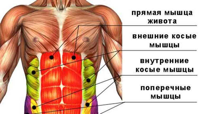 Почему сводит мышцы пресса во время тренировки?