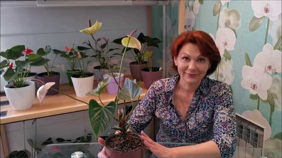 Несоответствующий уровень влажности