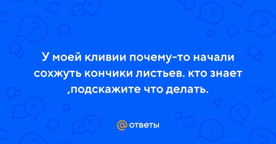 Недостаток влаги