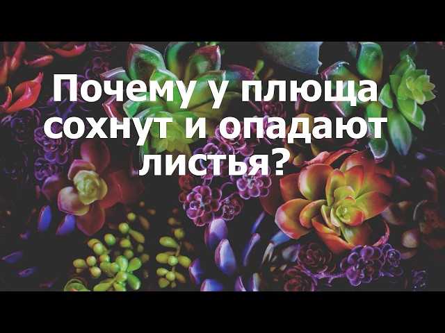 Недостаток освещения