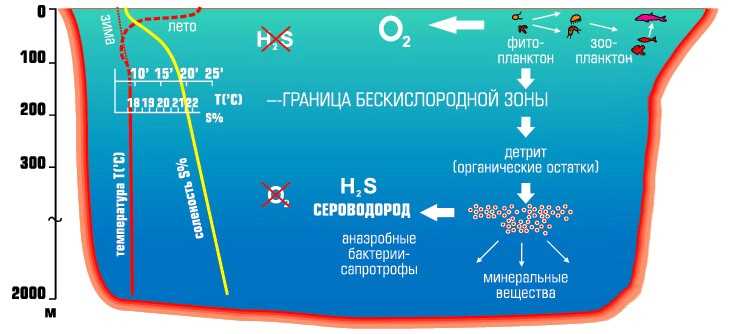 Ограниченное поступление кислорода