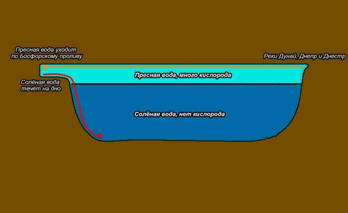 Почему в черном море сероводород