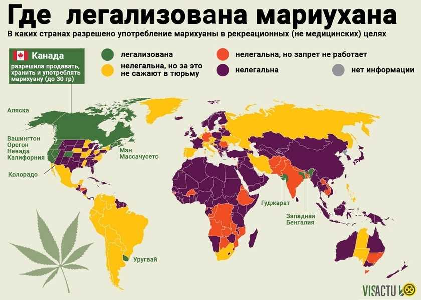 Исторический контекст и культурные особенности: почему в России не легализуют марихуану?