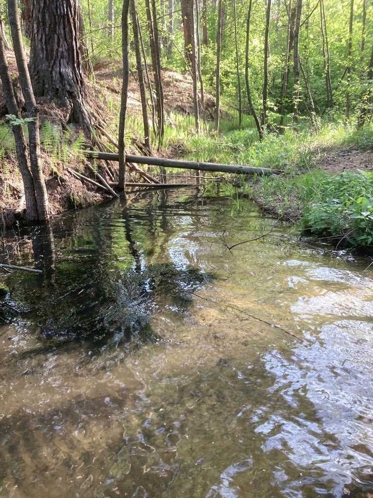 Почему вода в реке коричневая