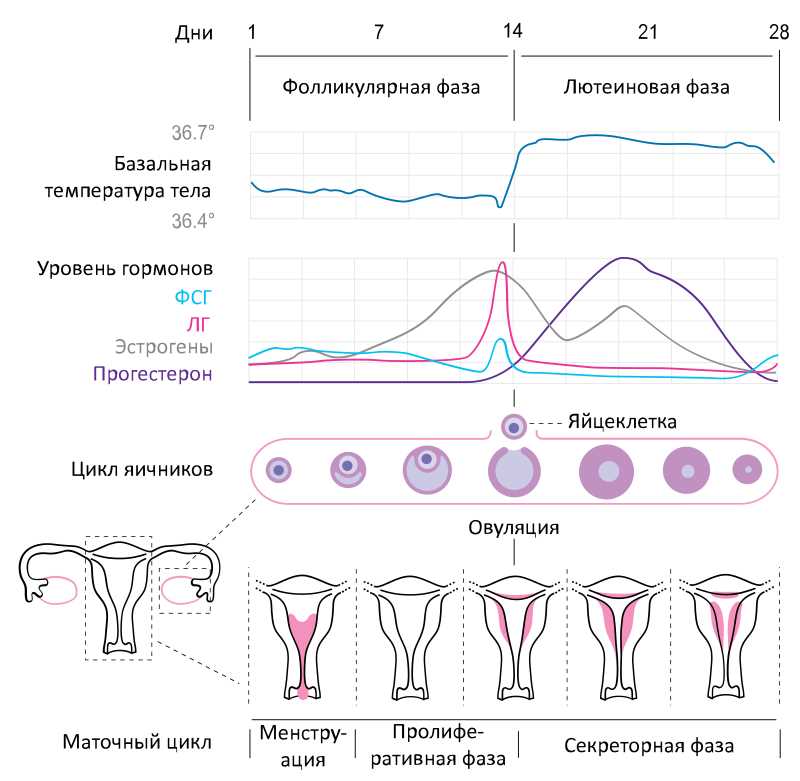 Влияние настоящего на будущее