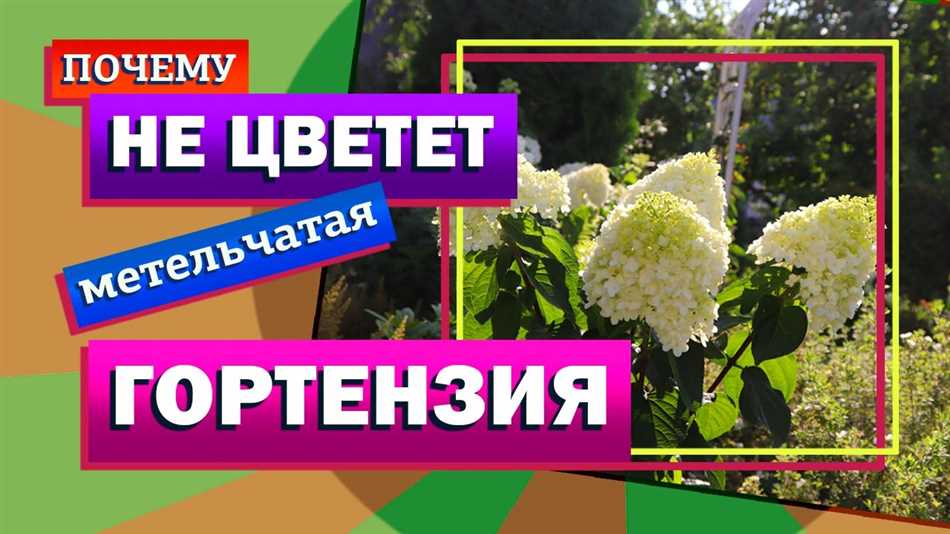 2. Недостаток питательных веществ
