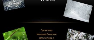 При какой температуре образуется роса на растениях и поверхности земли: описание и причины образования