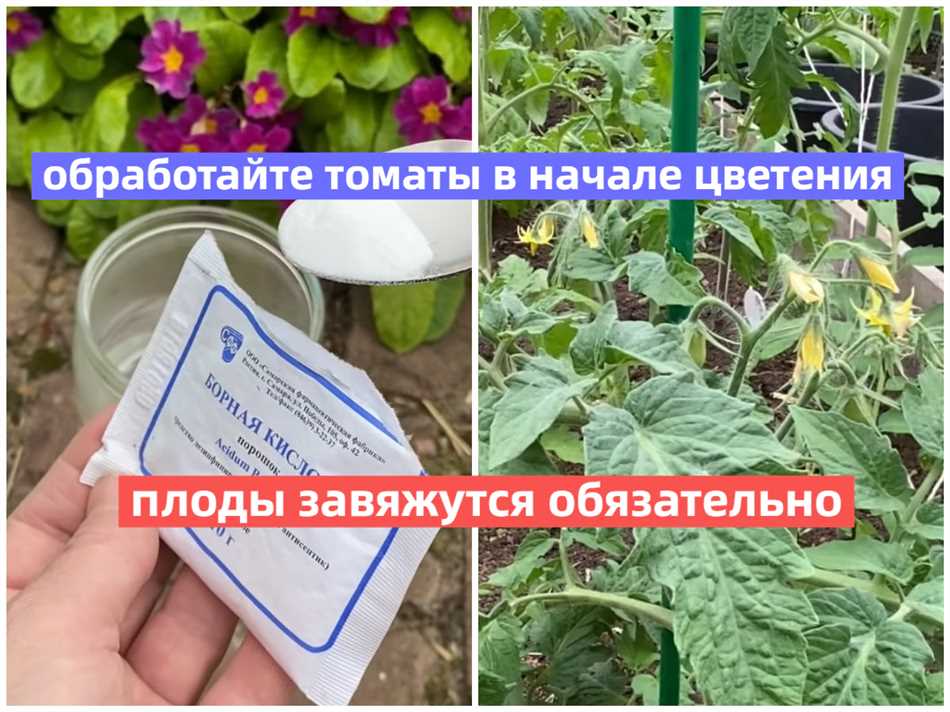 При какой температуре опрыскивать бором?