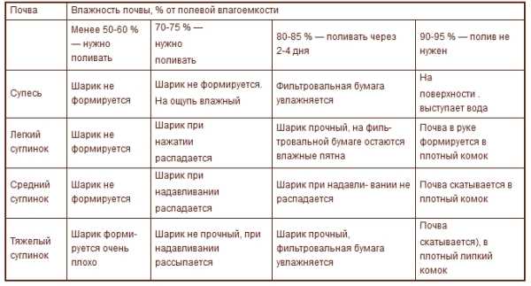 Как низкая влажность воздуха влияет на растения и полив