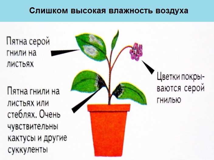 Признаки низкой влажности воздуха