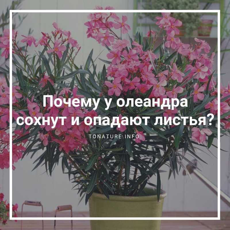 Неверное содержание воздуха