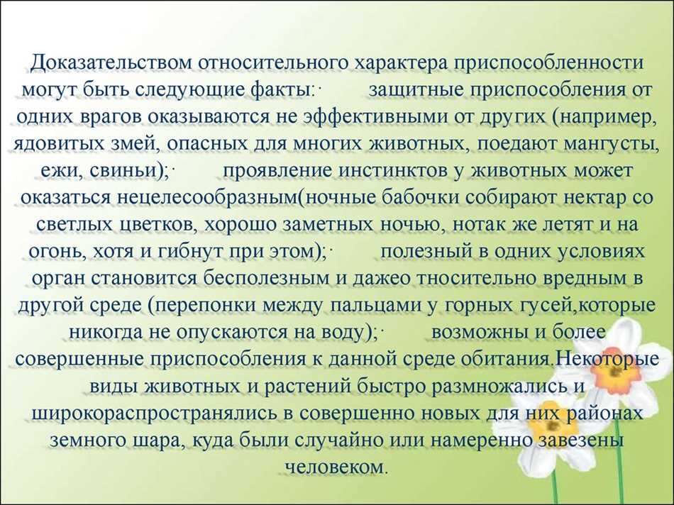 Описание и классификация признаков приспособления кактуса