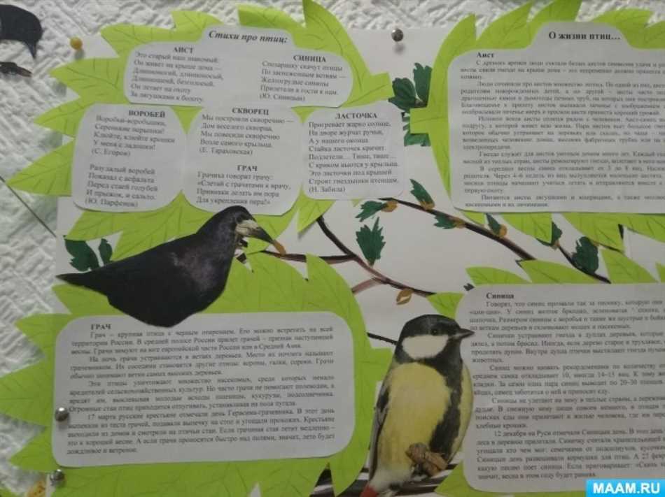 Механизмы полета