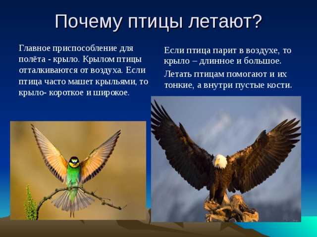 Приспособления для снижения сопротивления воздуха