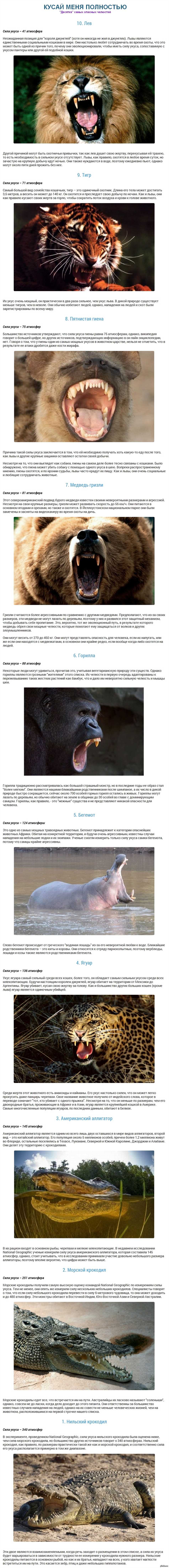 Анатомия челюсти