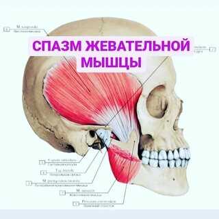 3. Выражение лица