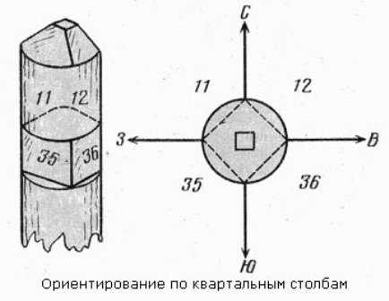 Влияние внешнего расположения муравейника на его функции