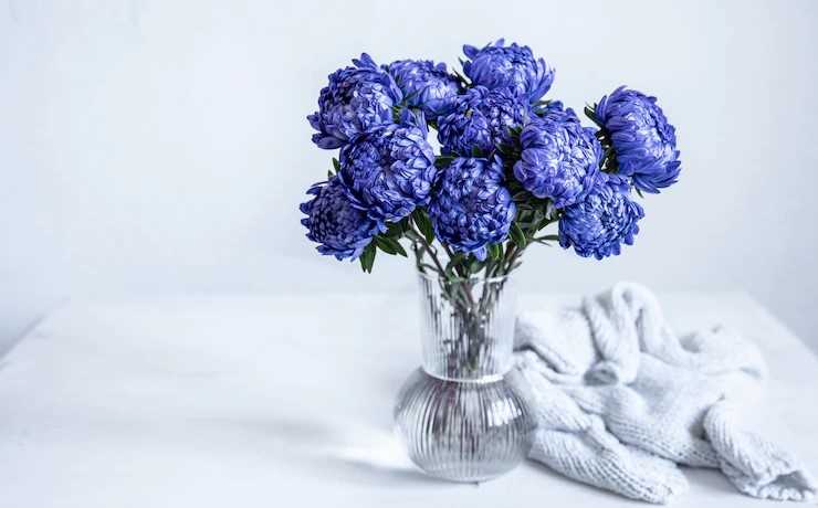 Топ 5 самых долговечных цветов