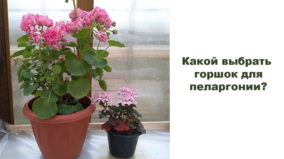 Преимущества использования подходящего объема горшка
