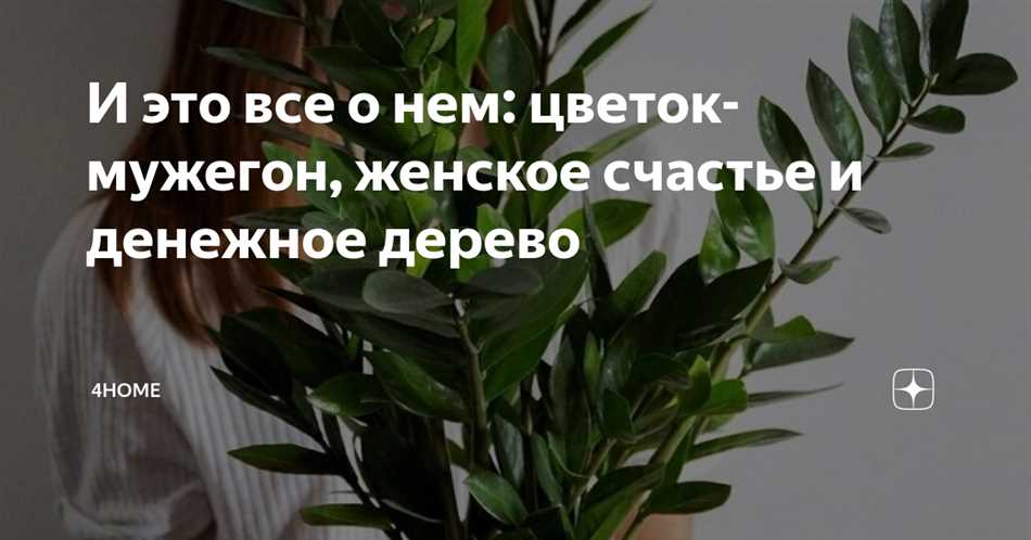 Современное отношение к цветку как женскому счастью и мужегону
