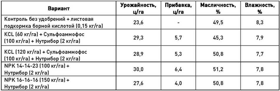 Рекомендации по использованию удобрений при посеве подсолнечника