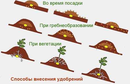 Заключение